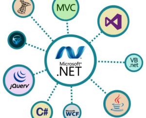 Net Developer services
