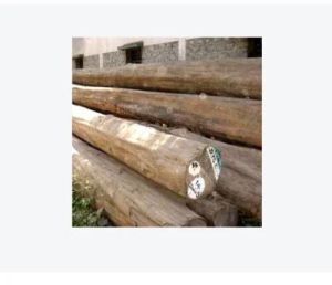 Teak Wood Logs