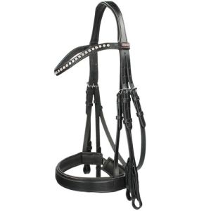 Horse Bridle