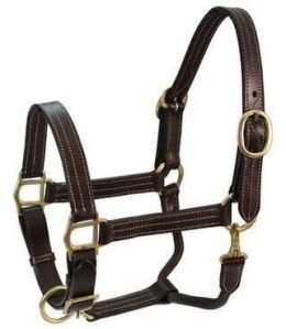 Horse Halter