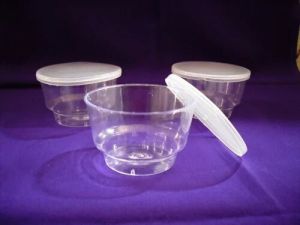 Plastic Dessert Bowl