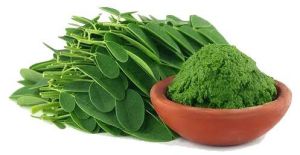 Moringa Leaf Powder