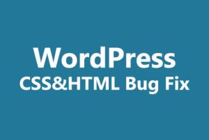 We will fix wordpress css