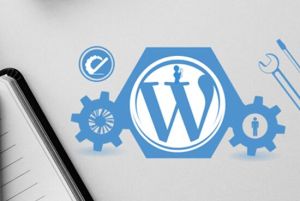 We will fix wordpress theme wordpress site