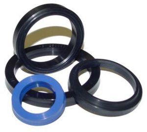 hydraulic gasket