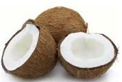 Fresh Mature Coconut