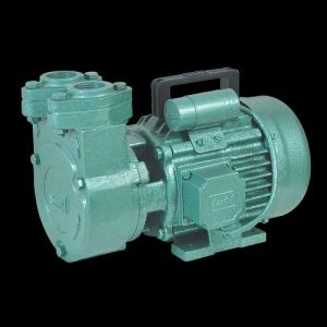 LUBI MONOBLOCK Pumps