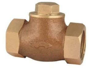 Horizontal Check Valve