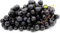 Black Seedless Grapes