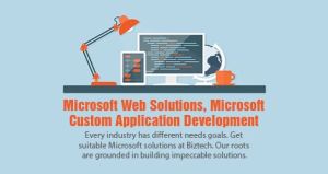 ASP Net Development Services