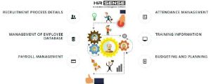 HR Sense - Human Resource Management Software