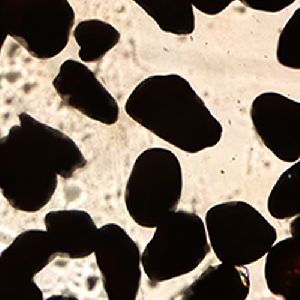 Rutile Sand