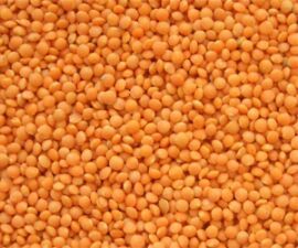 Lentils