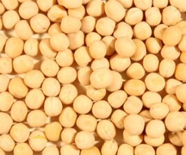 Yellow Peas