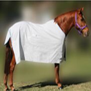 Animal Covers & Equestrian