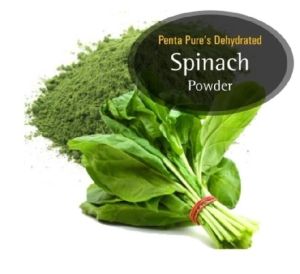 Dehydrated Spinach Powder