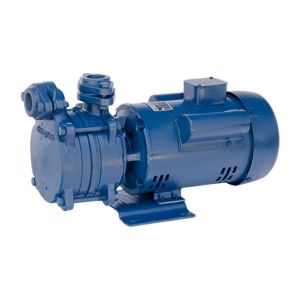 Heavy Duty Regenerative Self priming Pumps