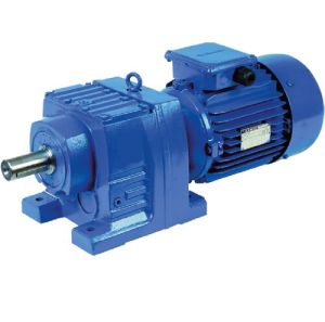 Remi Geared Motors