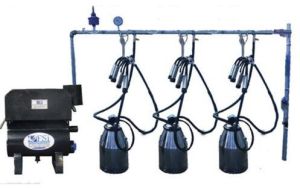 Buffalo Bucket Milking Machine