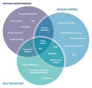 PROCESS ANALYTICAL SERVICES
