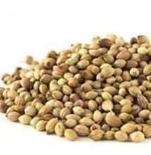 Coriander Seed