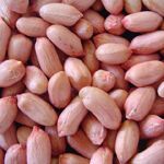 Groundnut Seeds