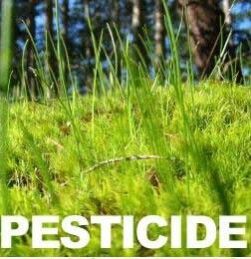 Pesticides