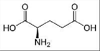 Glutamic Acid