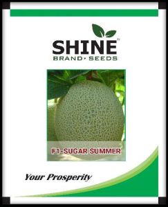 Muskmelon F1 - Sugar Summer