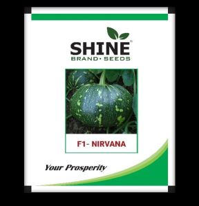 Pumkin Seeds- F1 Nirvana