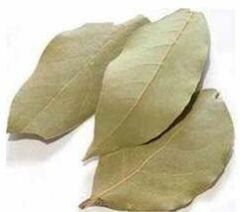 Bay Leaf