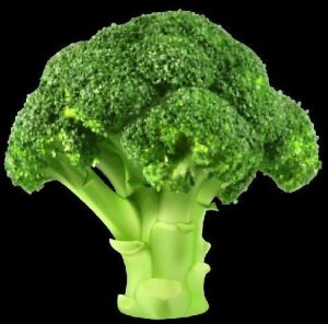 Broccoli