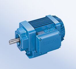 Hoist Motors