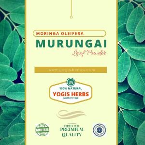 Murungai Leaf powder