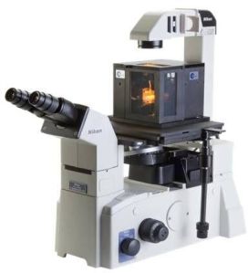 Scanning Ion Conductance Microscopy