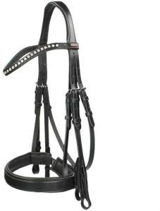 Horse Bridle