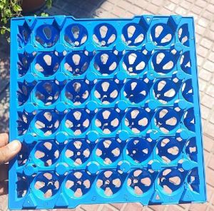 plastic egg tray