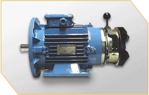 Crane Duty Brake Motor