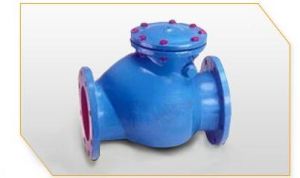 Reflux Valve