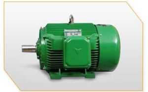 Spectrum Cage Closed Motor