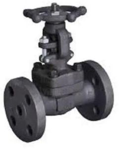 Steam Globe Valve