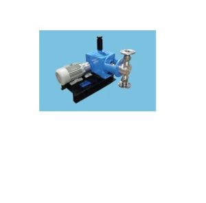 Reciprocating Piston Pump