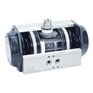 Pneumatic Actuator