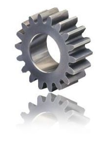 Spur Gear