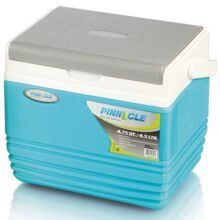 travel ice box