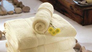 Spa Hotel Collection Towels