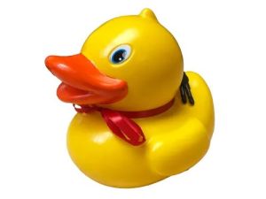 Duck Money Bank