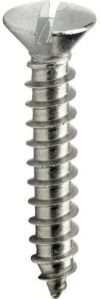 slotted self tapping screw