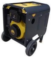 Portable Electric Generator