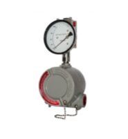 Explosion Proof Instruments